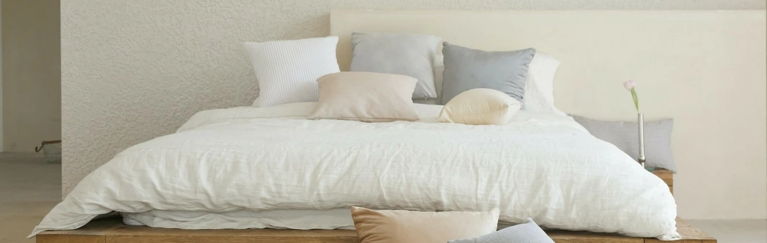 Bargoose shop -Bargoose shop 22 副本