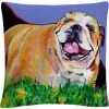 Coupon ???? Trademark Fine Art Spring Fever Decorative Throw Pillow ???? -Bargoose shop unnamed file 1051