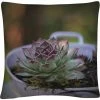 Wholesale ???? Trademark Fine Art Antisocial Decorative Throw Pillow ⌛ 1 Wholesale ???? Trademark Fine Art Antisocial Decorative Throw Pillow ⌛ -Bargoose shop unnamed file 1069