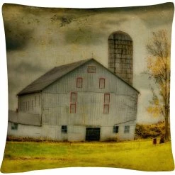 Best Pirce ???? Trademark Fine Art Old Barn On Stormy Afternoon Decorative Throw Pillow ????