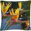 Budget ???? Trademark Fine Art Bird Of Paradise Backlit Decorative Throw Pillow ???? -Bargoose shop unnamed file 1080