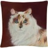 Coupon ❤️ Trademark Fine Art Capturing Eyes Cat Red White Decorative Throw Pillow ???? -Bargoose shop unnamed file 1095