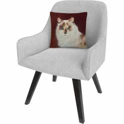 Coupon ❤️ Trademark Fine Art Capturing Eyes Cat Red White Decorative Throw Pillow ???? -Bargoose shop unnamed file 1096