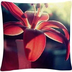 Buy ❤️ Trademark Fine Art Lady In Red Decorative Throw Pillow ????