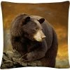 Flash Sale ???? Trademark Fine Art Lois Bryan The Bear Went Over The Mountain Throw Pillow ????