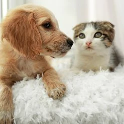 New ???? Hastings Home 24 In. Faux Fur Shag Pillow ???? -Bargoose shop unnamed file 1282