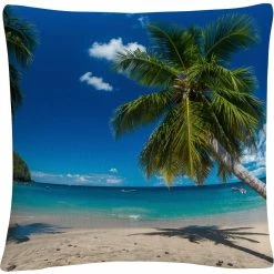 Buy ???? Trademark Fine Art Martinique Decorative Throw Pillow ????