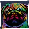 Cheapest ???? Trademark Fine Art Pug ???? Dog Decorative Throw Pillow ⭐ -Bargoose shop unnamed file 1432