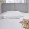 Flash Sale ✨ Martha Stewart Collection Premium White Down Pillow ✔️ 2 Flash Sale ✨ Martha Stewart Collection Premium White Down Pillow ✔️ -Bargoose shop unnamed file 1842