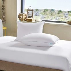 Flash Sale ✨ Martha Stewart Collection Premium White Down Pillow ✔️ -Bargoose shop unnamed file 1844