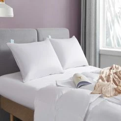 Flash Sale ✨ Martha Stewart Collection Premium White Down Pillow ✔️ -Bargoose shop unnamed file 1845