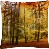 Discount ✔️ Trademark Fine Art Brilliant Fall Color Decorative Throw Pillow ✨