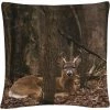 Top 10 ???? Trademark Fine Art Sitting Deer/Lake Isaac Decorative Throw Pillow ???? -Bargoose shop unnamed file 309