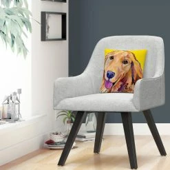 Flash Sale ⭐ Trademark Fine Art Pat Saunders White Molly Decorative Throw Pillow ???? -Bargoose shop unnamed file 36