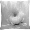 Best Sale ???? Trademark Fine Art PIPA Fine Art Infrared Flower 2 Decorative Throw Pillow ???? 1 Best Sale ???? Trademark Fine Art PIPA Fine Art Infrared Flower 2 Decorative Throw Pillow ???? -Bargoose shop unnamed file 379