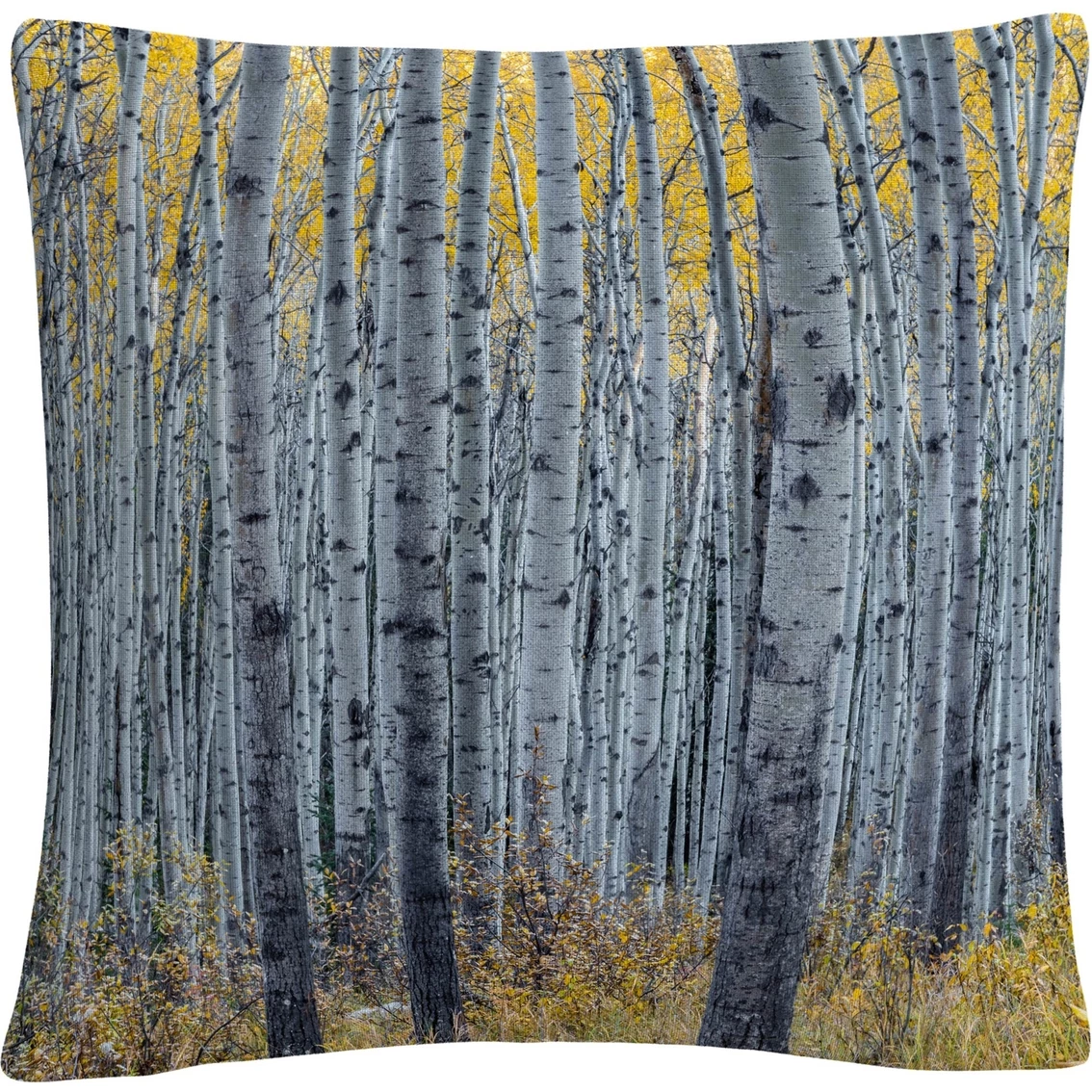 Deals ⌛ Trademark Fine Art Forest Of Aspen Trees Decorative Throw Pillow ⌛ 3 Deals ⌛ Trademark Fine Art Forest Of Aspen Trees Decorative Throw Pillow ⌛