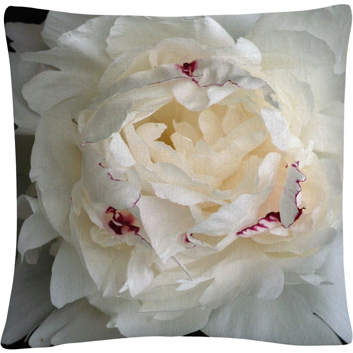 Best Sale ???? Trademark Fine Art Perfect Peony Decorative Throw Pillow ???? 3 Best Sale ???? Trademark Fine Art Perfect Peony Decorative Throw Pillow ????