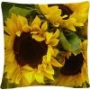 Hot Sale ???? Trademark Fine Art Sunflowers Decorative Throw Pillow ???? 2 Hot Sale ???? Trademark Fine Art Sunflowers Decorative Throw Pillow ???? -Bargoose shop unnamed file 510