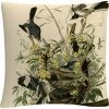Buy ???? Trademark Fine Art John James Audubon Mocking Birds And Snake II Throw Pillow ???? 1 Buy ???? Trademark Fine Art John James Audubon Mocking Birds And Snake II Throw Pillow ???? -Bargoose shop unnamed file 52