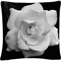 Best Pirce ???? Trademark Fine Art Gardenia In Black And White Decorative Throw Pillow ✔️