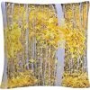 Cheapest ⌛ Trademark Fine Art PanorAspens Grey Forest Decorative Throw Pillow ???? 2 Cheapest ⌛ Trademark Fine Art PanorAspens Grey Forest Decorative Throw Pillow ???? -Bargoose shop unnamed file 523