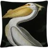 Cheapest ???? Trademark Fine Art John James Audubon American White Pelican Decorative Pillow ???? -Bargoose shop unnamed file 604