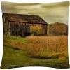 Hot Sale ???? Trademark Fine Art Old Barn On Rainy Day Decorative Throw Pillow ???? -Bargoose shop unnamed file 762