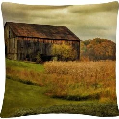 Hot Sale ???? Trademark Fine Art Old Barn On Rainy Day Decorative Throw Pillow ????