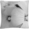 Budget ???? Trademark Fine Art Sheer Malva Decorative Throw Pillow ????