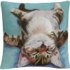 Budget ✨ Trademark Fine Art Pat Saunders White Little Napper Decorative Throw Pillow ???? -Bargoose shop unnamed file 847