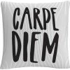 Best Sale ???? Trademark Fine Art Typographic Modern Carpe Diem Stripes Decorative Throw Pillow ???? -Bargoose shop unnamed file 911