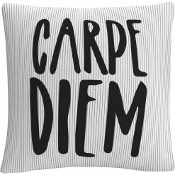 Best Sale ???? Trademark Fine Art Typographic Modern Carpe Diem Stripes Decorative Throw Pillow ????